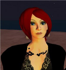 WMS 200 in SL or Gender in the Metaverse